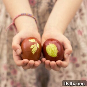 Earth-Dyed Easter Eggs 8 Naturally coloured Easter eggs