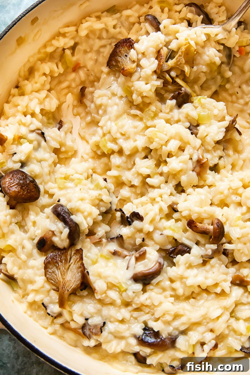 Top down view of Truffle risotto with mushroom in a pan