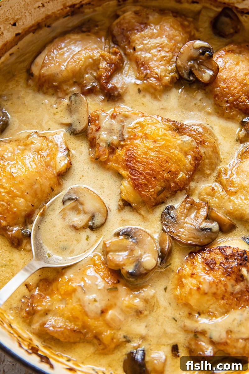 Close up of spoon scooping chicken fricassee in a pan