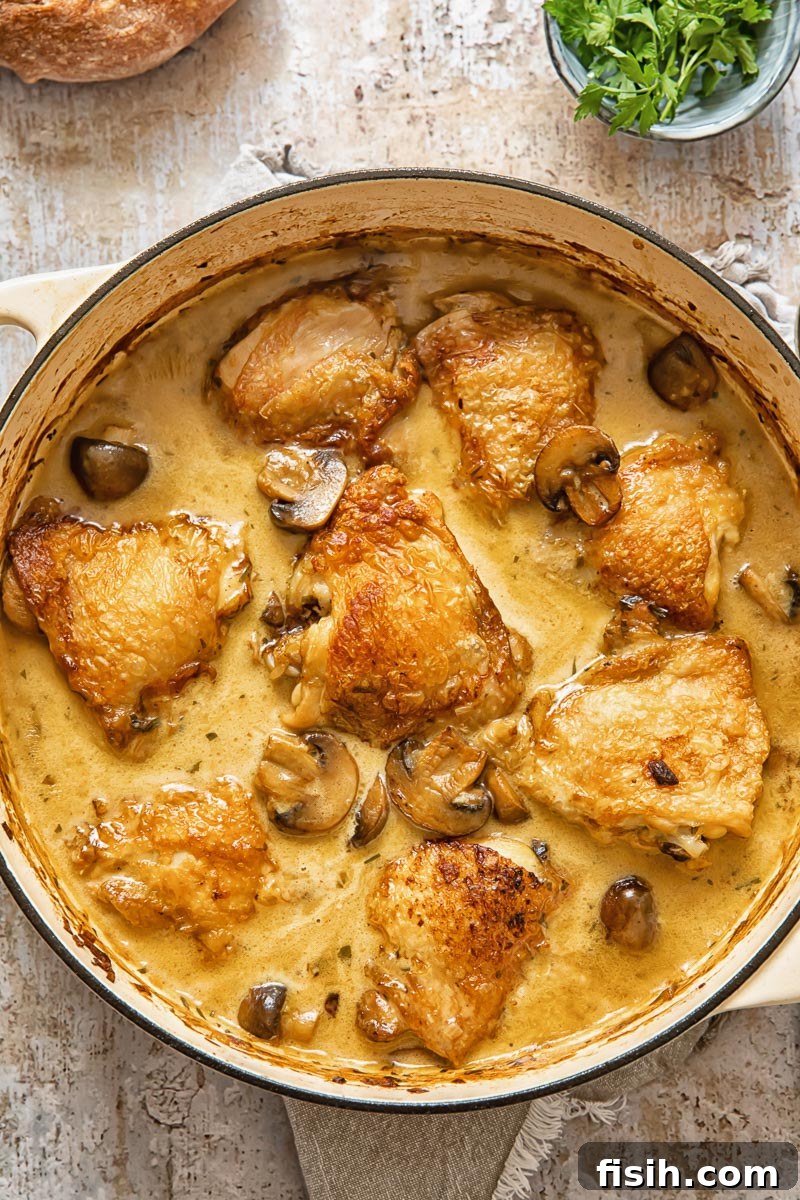 Top down view of chicken fricassee in a white pan