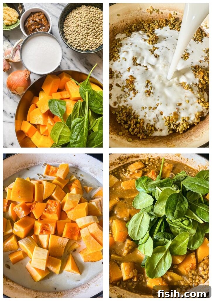 Step-by-step process shot showing various ingredients like onions, garlic, ginger, curry paste, lentils, coconut milk, and butternut squash assembled in a pan for the curry.