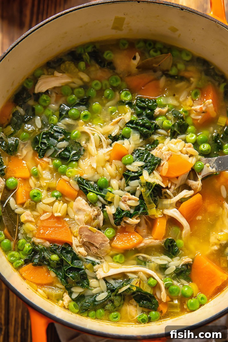 Close-up shot of rich chicken vegetable orzo soup simmering in a large pot on the stove, showcasing colorful chunks of vegetables and tender shredded chicken.