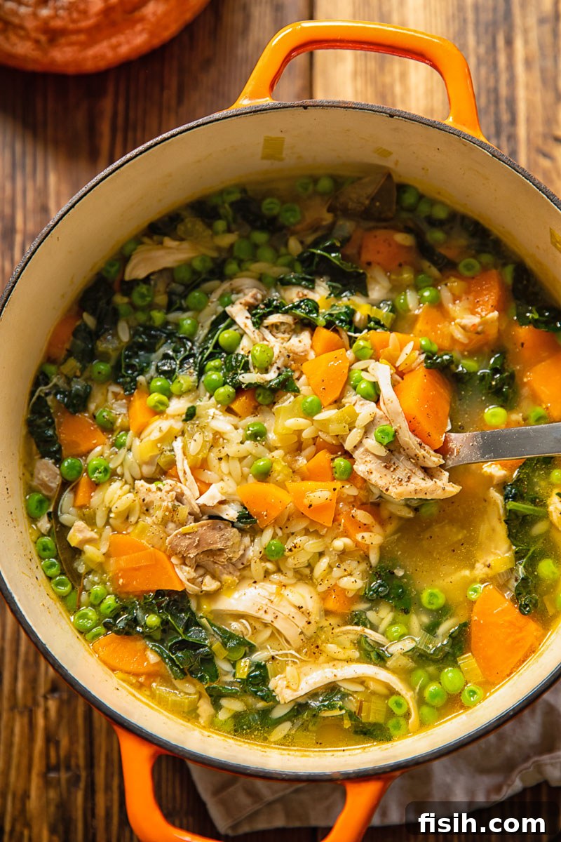A ladle scooping a generous portion of hearty homemade chicken vegetable orzo soup from a rustic pot, highlighting the rustic, wholesome appeal and an abundance of fresh ingredients.