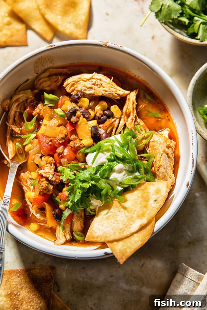 One-Pot Wonder Chicken Tortilla Soup 4 Top down shot of chicken tortilla soup in a bowl with a spoon