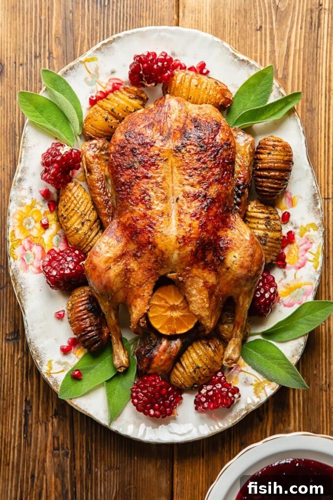 Top down view of roasted duck with potatoes and cranberries next to gravy