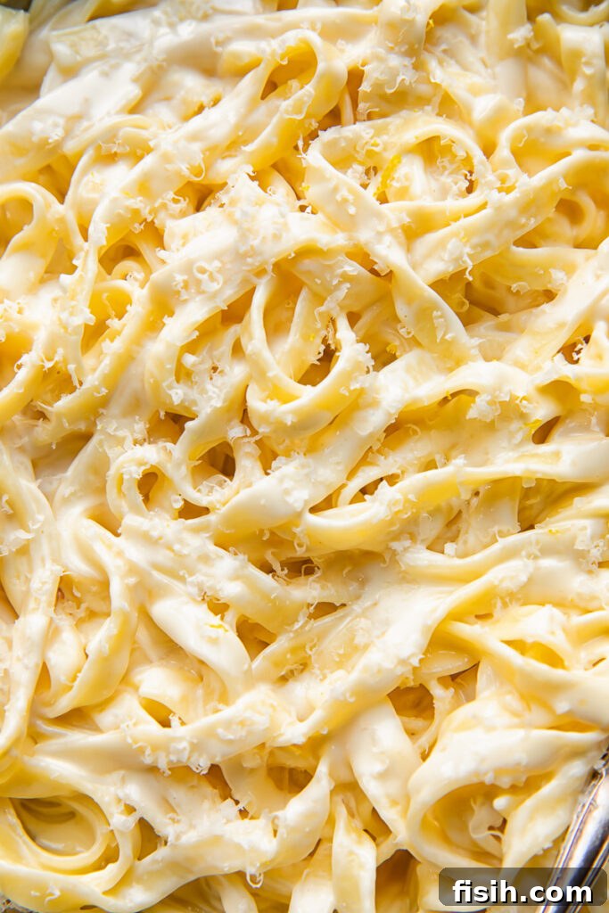 Close up shot of fettucine pasta in creamy alfredo sauce