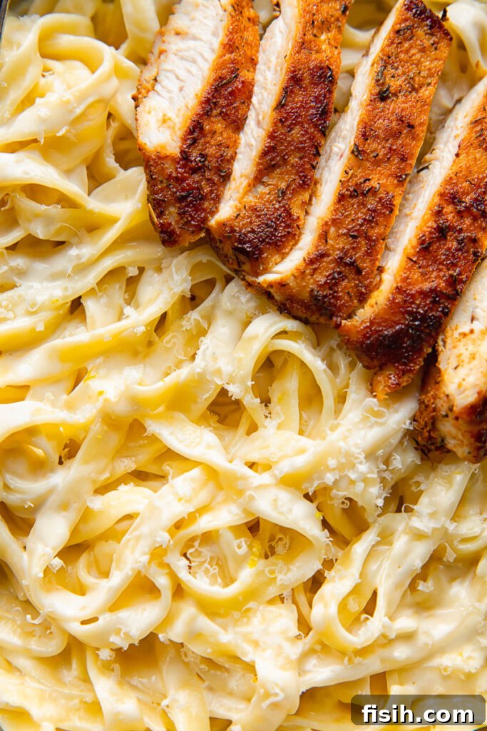Bold Blackened Chicken Alfredo 4 Close up shot of fettuccine pasta with alfredo sauce and blackened chicken