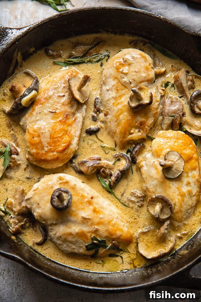 Top down shot of chicken breasts in a pan with creamy forestiere sauce and mushroom