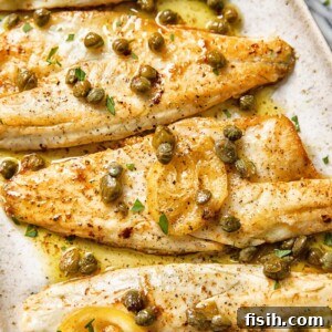 Pan-Seared Sea Bass with Nutty Caper Butter 5 close up of sea bass fillets in brown butter caper sauce