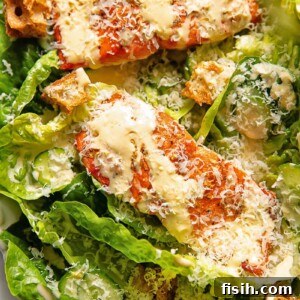 Elevated Salmon Caesar 5 Close up shot of salmon fillets on a bed of lettuce with croutons, topped with Caesar dressing