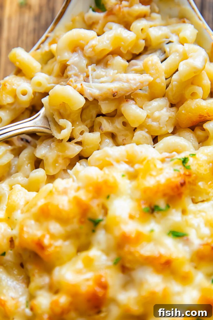 Close up shot of a bite of crab mac and cheese from a baking dish