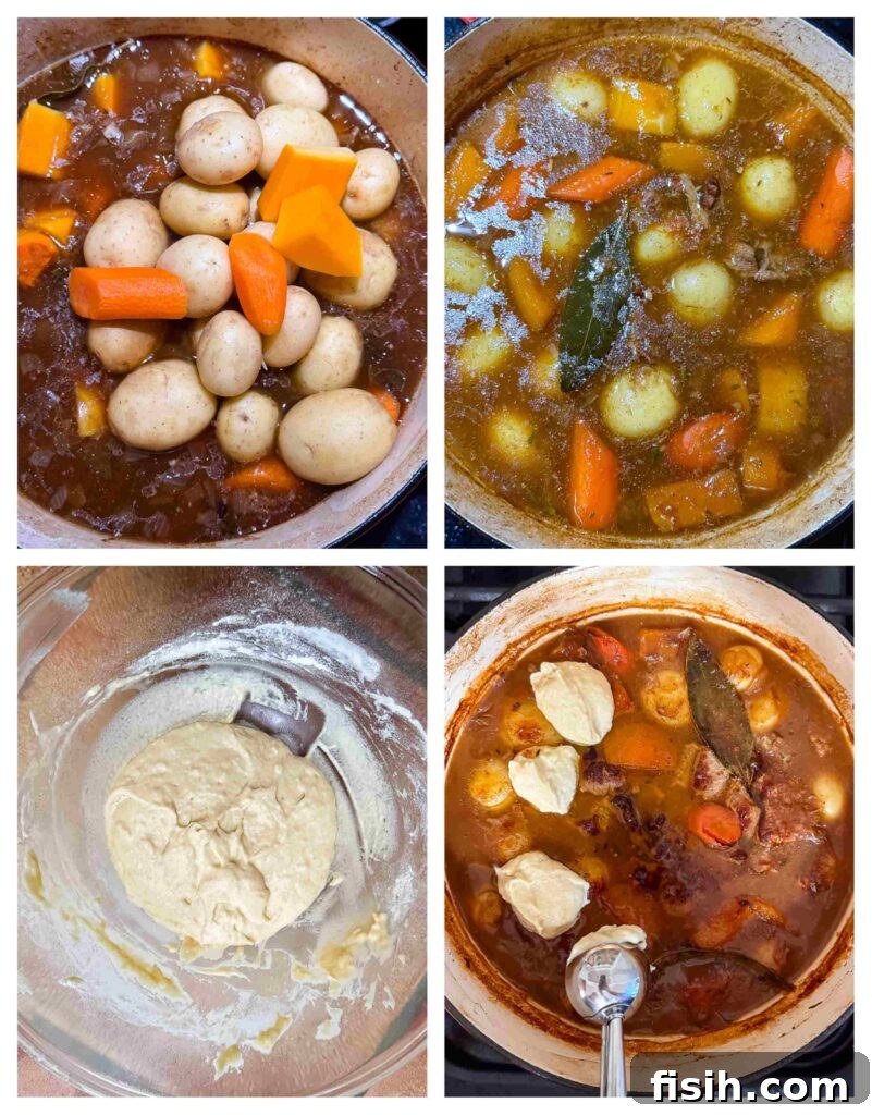 Process shots stew being prepared with beef, veg and herbs before deumplings are added