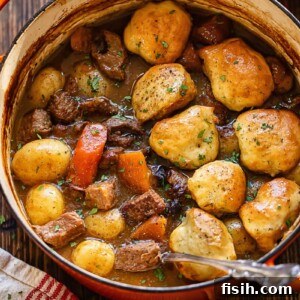 Top down shot of beef stew and dumplings in a large pot with a serving spoon