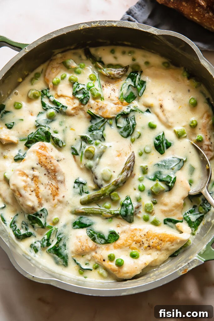 Vibrant Spring Chicken Medley 2 Top down shot of chicken primavera in a pan with creamy sauce, garnished with fresh herbs.