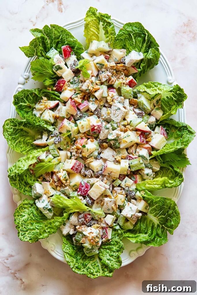 Signature Chicken Waldorf Salad 2 Top down shot of chicken waldorf salad on a bed of lettuce, showcasing its fresh ingredients and vibrant colors.