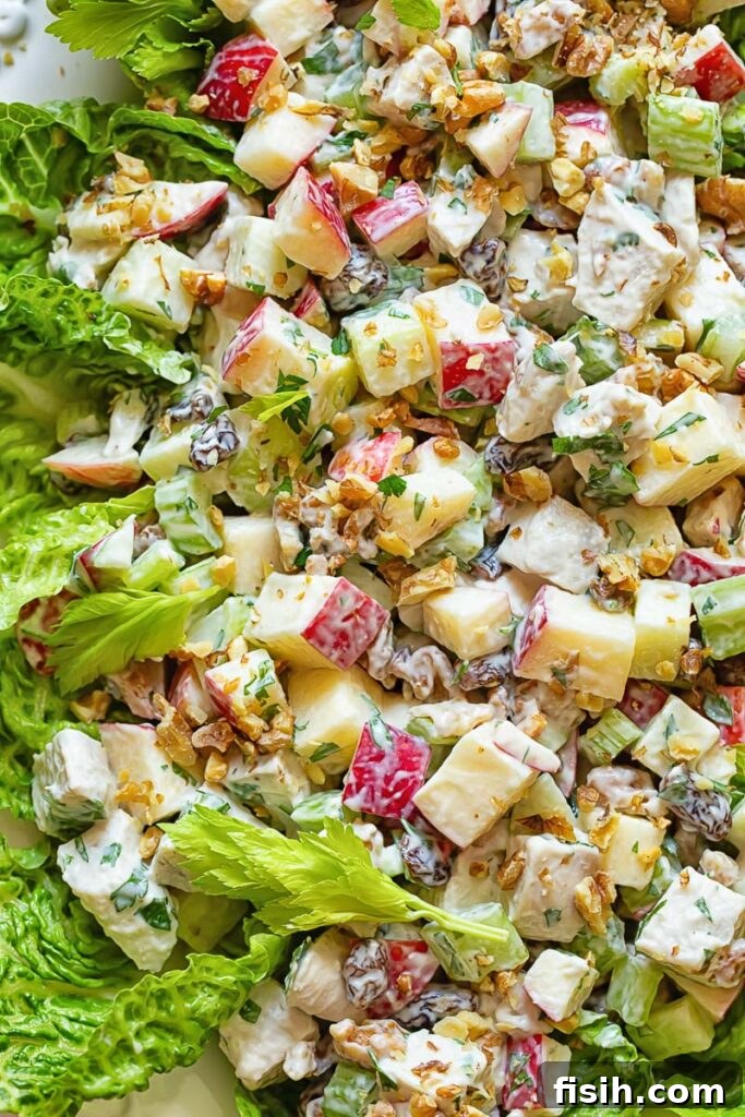 Signature Chicken Waldorf Salad 3 Close up shot of chicken waldorf salad on a serving dish, highlighting the creamy texture and fresh ingredients.
