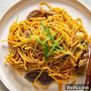 Noodles topped with sliced green onions and beef yakisoba sauce on a brown plate.