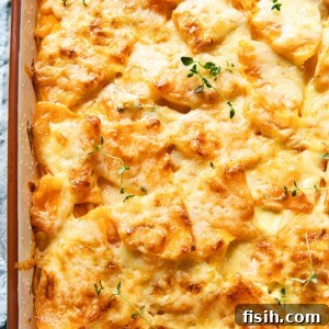 Butternut Squash Casserole (Dauphinoise style) baked in a rustic pan, showing appetizing layers of tender squash in a creamy, cheesy sauce, from a top-down perspective. A comforting and seasonal gratin.