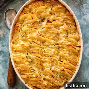 Top-down view of an oval baking pan filled with golden-brown Scalloped Potatoes with Caramelised Shallots, beautifully layered with creamy sauce and fresh herbs. A sophisticated potato gratin for special occasions.