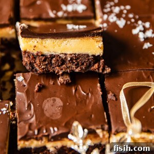 Close-up of classic Nanaimo Bars with chocolate and coconut layers