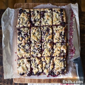 Top-down view of sliced Blackberry Crumble Bars with oat topping