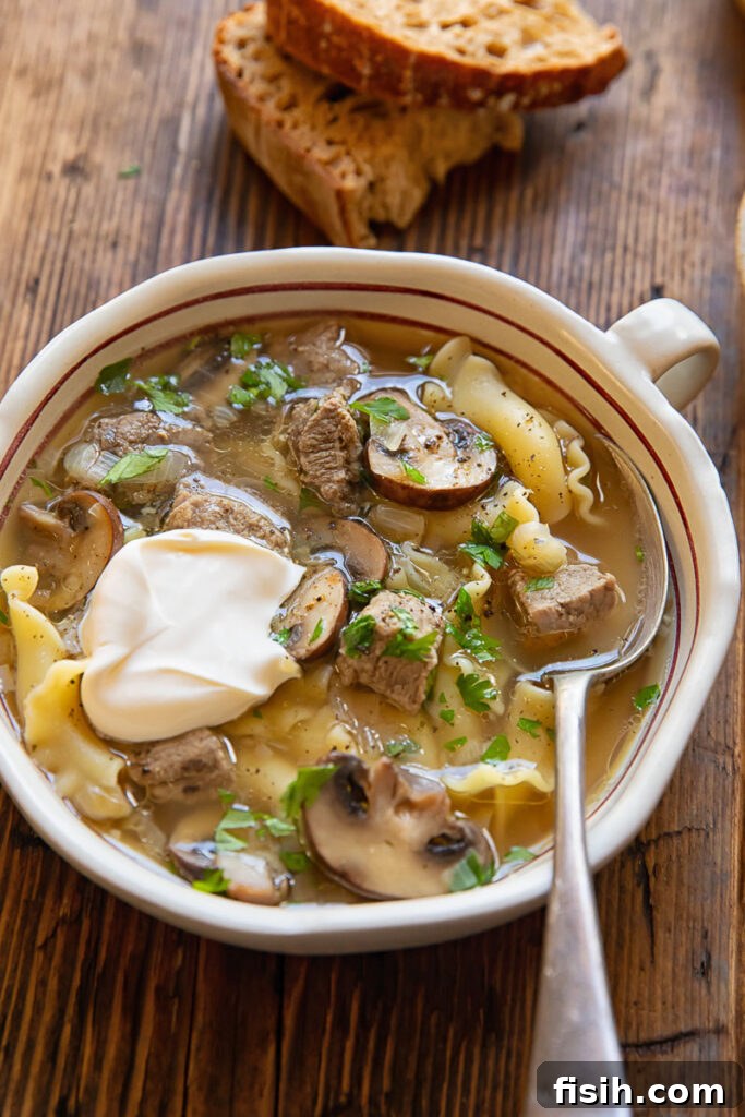 Beef stroganoff soup in a bowl topped with sour cream, garnished with fresh dill.