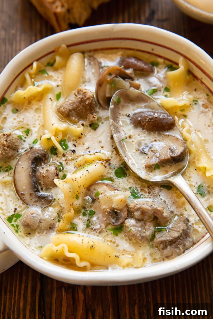 Close up shot of a bowl of Beef Stroganoff Soup, with a spoon revealing the rich texture and noodles.