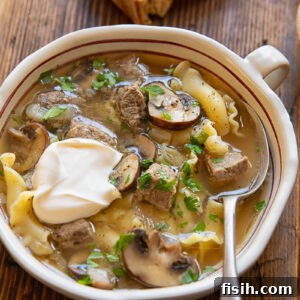 Beef stroganoff soup in a bowl topped with sour cream, garnished with fresh dill.