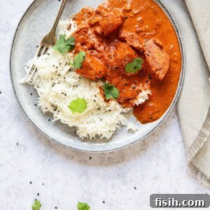 Top down shot of a plate with rich butter chicken curry and rice.