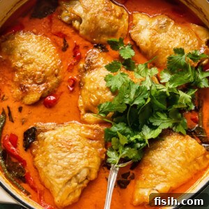 Top down view of a pan of braised coconut curry chicken thighs, garnished with fresh parsley.