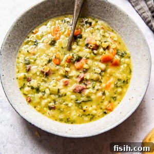 A comforting bowl of Ham and Bean Soup, rich in texture with chunks of ham, lentils, barley, and various beans, ready to be enjoyed.