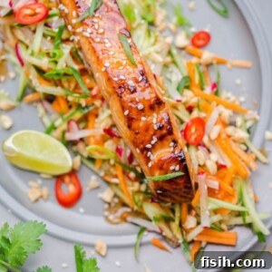 11 Vibrant Salmon Recipes Perfect for Sunny Days 4 An Asian-glazed salmon fillet on a bed of carrot and cucumber slaw, garnished with lime and chili.