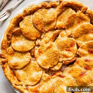 top down view of apple pie