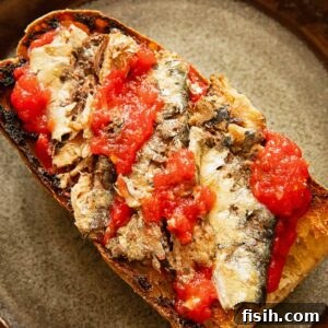 3 Sardine Toast Recipes: Flavorful Ideas for Any Meal 7 Toast on a dark plate with sardines and tomatoes.